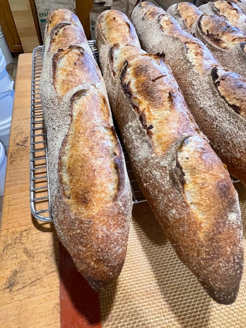 Baguette- Sourdough