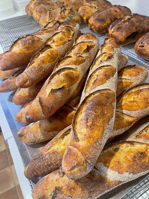 Baguette- Sourdough